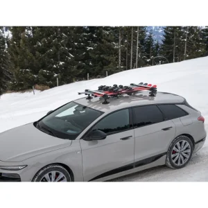 Ski&Snowboard 626 Rack TREEFROG