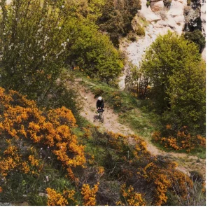 Cubierta Gravel Endurance. Terreno T60 Mixed Gravel 700x45 TLR Hookless Negro